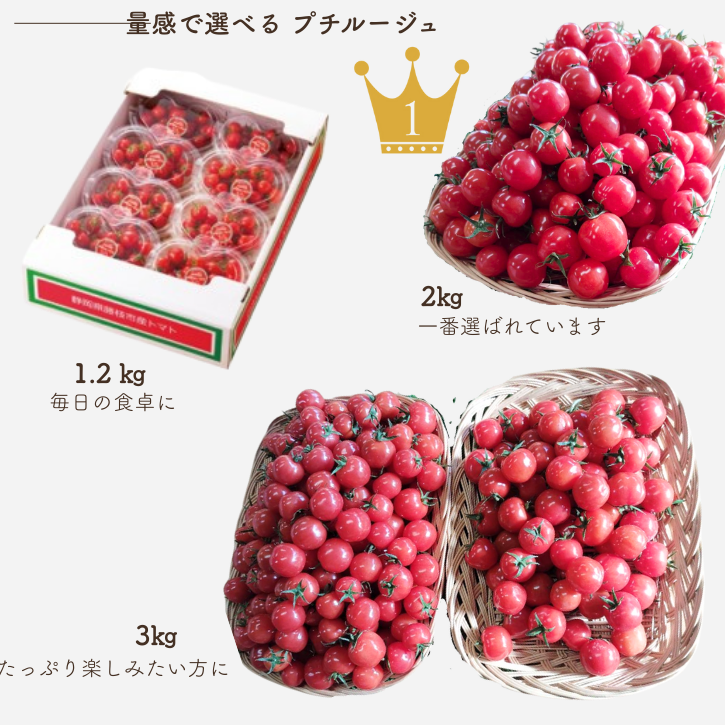 プチルージュ量感画像