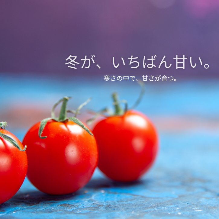 冬がいちばん甘い