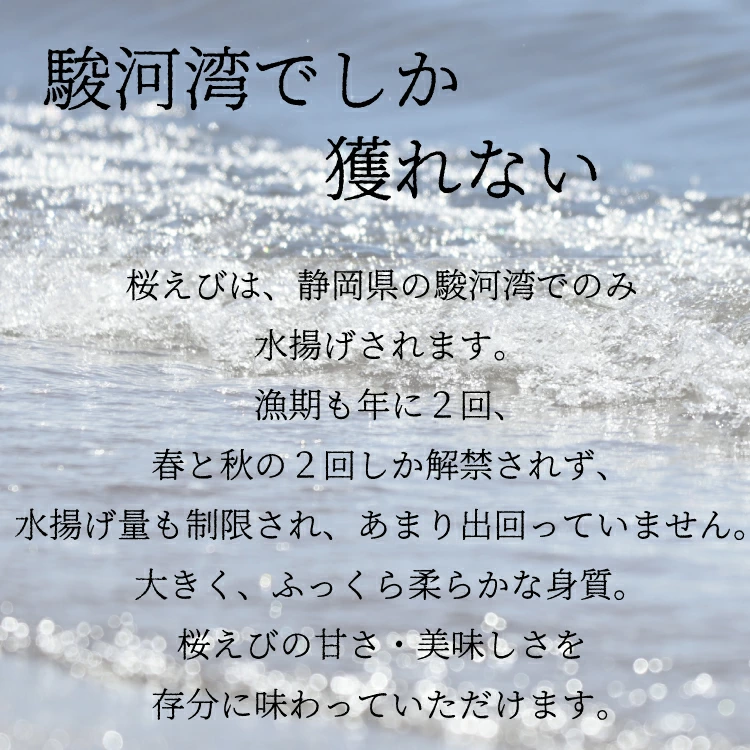 桜えび
