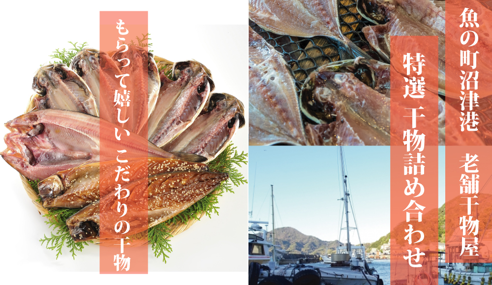 送料無料《老舗干物セット》静岡県沼津干物お中元御中元ギフト贈り物お取り寄せセット【無料ギフト包装・のし】"